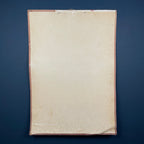 Vintage school  poster The human nervous system Yugoslavia 1966 Educational wall board