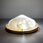 Vintage murano ceiling lamp by "La Murrina", Italy 1980s MCM unique Italian lighting
