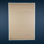 Vintage school botanical poster Austria 1950s Educational wall board